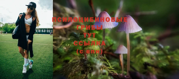 спиды Верея