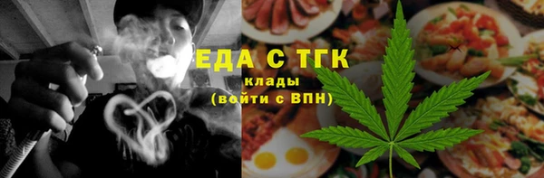 индика Верхний Тагил