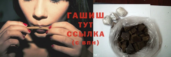 индика Верхний Тагил