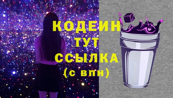 индика Верхний Тагил