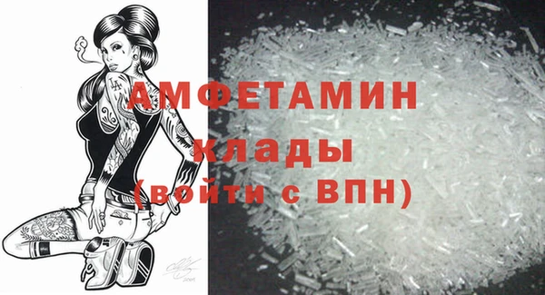 индика Верхний Тагил