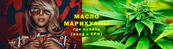 индика Верхний Тагил