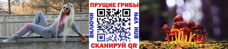 Галлюциногенные грибы ЛСД Семёнов
