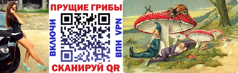 Псилоцибиновые грибы Psilocybine cubensis  Семёнов 